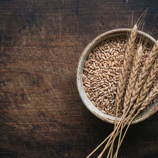 Spelt