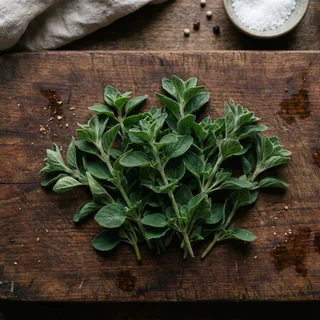 Oregano